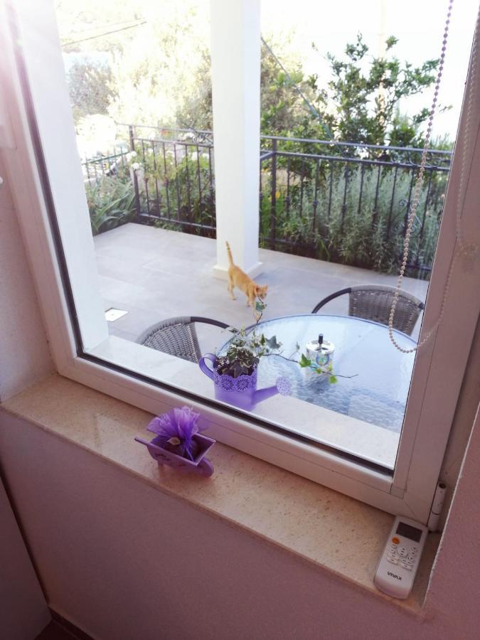 מרינה Apartmani Skalinada מראה חיצוני תמונה
